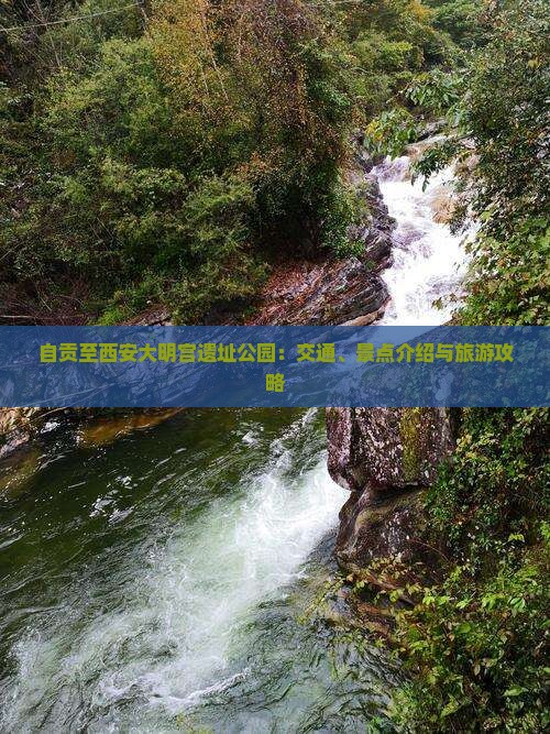 自贡至西安大明宫遗址公园：交通、景点介绍与旅游攻略