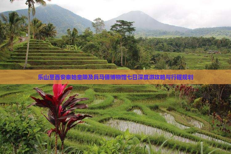 乐山至西安秦始皇陵及兵马俑博物馆七日深度游攻略与行程规划