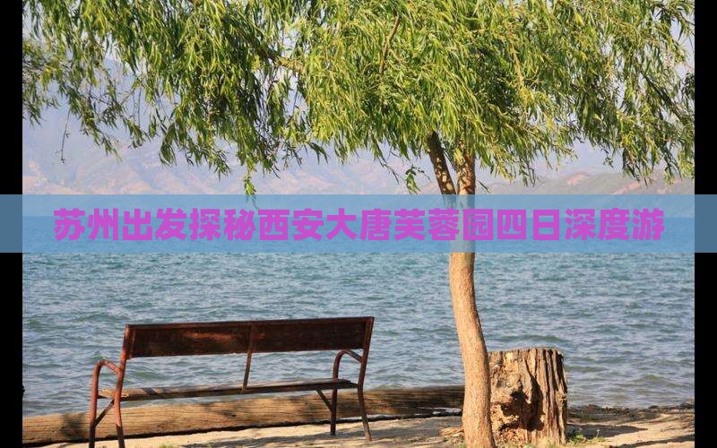苏州出发探秘西安大唐芙蓉园四日深度游