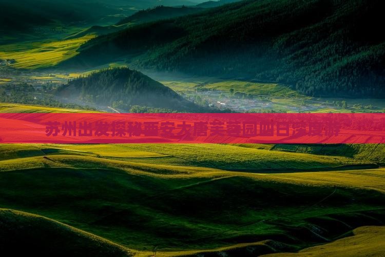 苏州出发探秘西安大唐芙蓉园四日深度游
