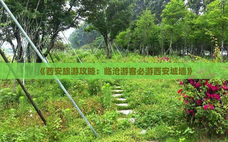 《西安旅游攻略：临沧游客必游西安城墙》
