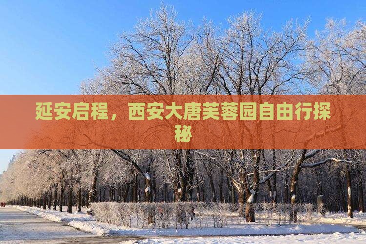 延安启程，西安大唐芙蓉园自由行探秘