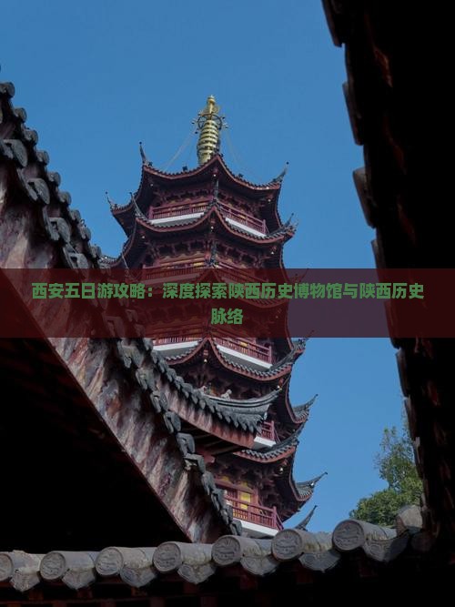 西安五日游攻略：深度探索陕西历史博物馆与陕西历史脉络