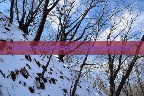 深圳出发西安回民街深度游：大型团队定制体验之旅