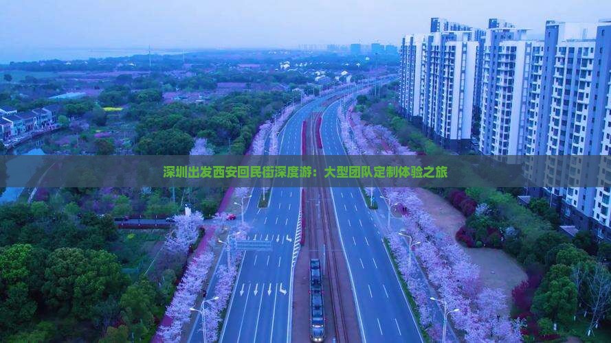 深圳出发西安回民街深度游：大型团队定制体验之旅