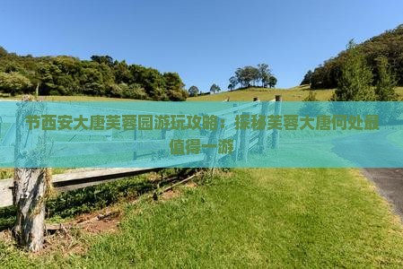 节西安大唐芙蓉园游玩攻略：探秘芙蓉大唐何处最值得一游