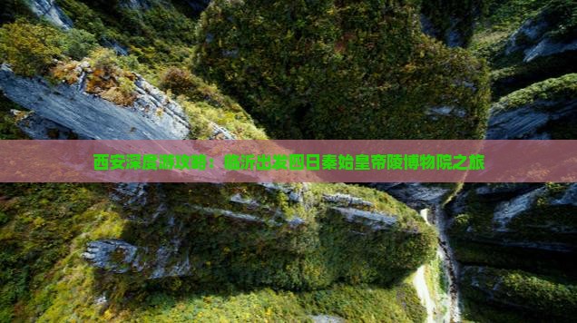 西安深度游攻略：临沂出发四日秦始皇帝陵博物院之旅