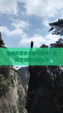 淄博到西安大唐不夜城一日游|西安旅游新选择
