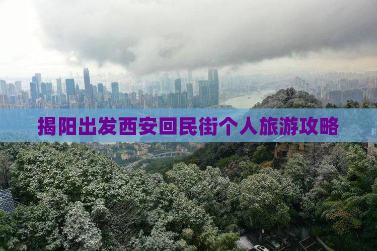 揭阳出发西安回民街个人旅游攻略