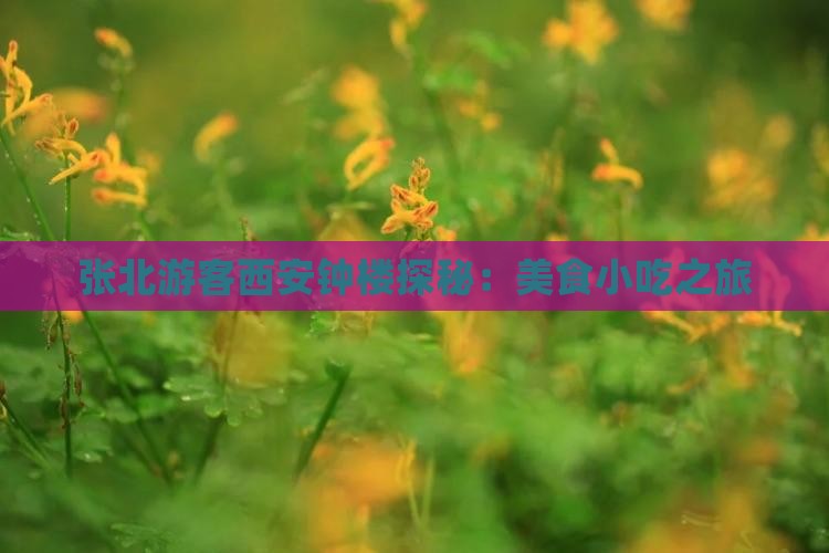 张北游客西安钟楼探秘：美食小吃之旅
