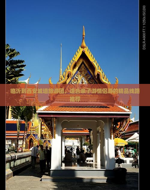 临沂到西安城墙旅游团，适合亲子游情侣游的精品线路推荐