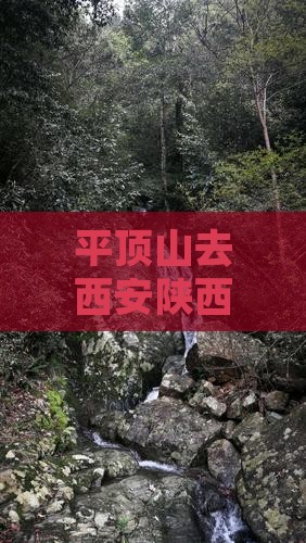 平顶山去西安陕西历史博物馆四日游攻略