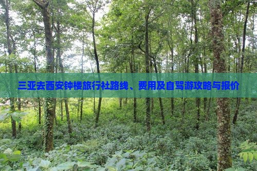 三亚去西安钟楼旅行社路线、费用及自驾游攻略与报价