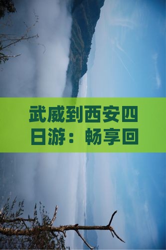武威到西安四日游：畅享回民街美食之旅