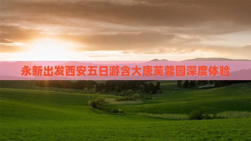 永新出发西安五日游含大唐芙蓉园深度体验