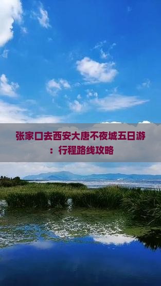 张家口去西安大唐不夜城五日游：行程路线攻略