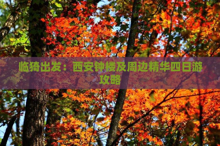 临猗出发：西安钟楼及周边精华四日游攻略