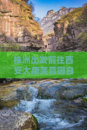 株洲出发前往西安大唐芙蓉园自由行旅游团