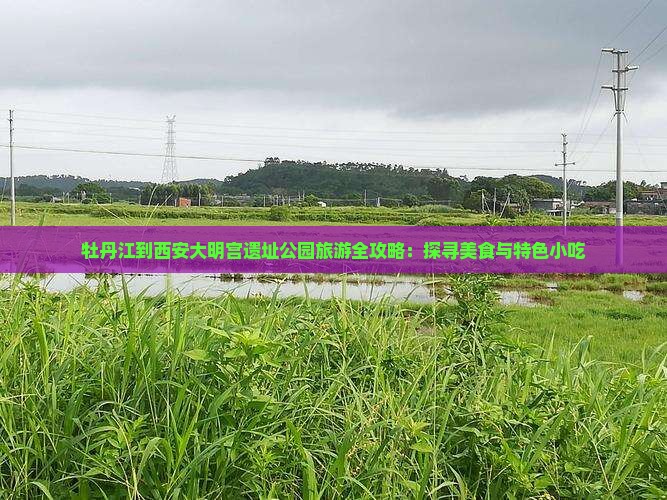 牡丹江到西安大明宫遗址公园旅游全攻略：探寻美食与特色小吃