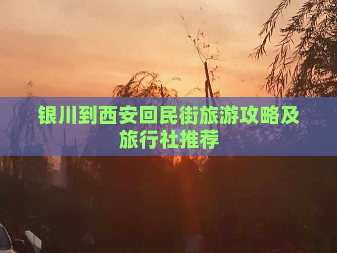 银川到西安回民街旅游攻略及旅行社推荐