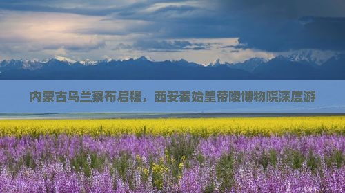内蒙古乌兰察布启程，西安秦始皇帝陵博物院深度游