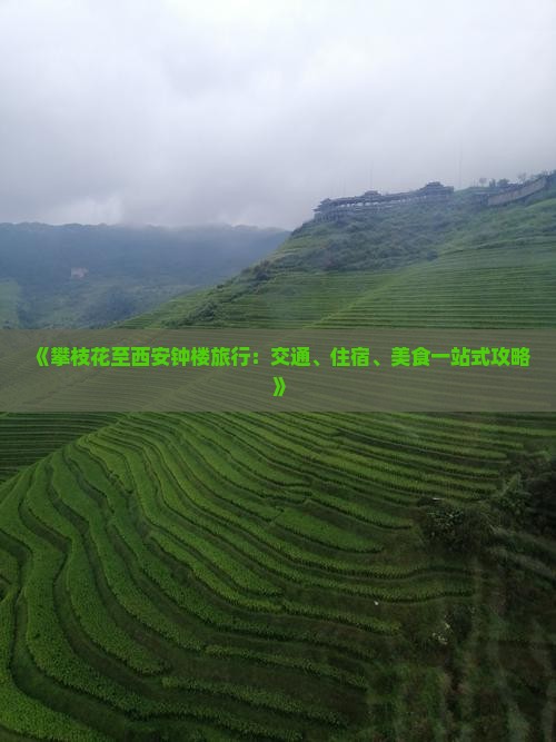 《攀枝花至西安钟楼旅行：交通、住宿、美食一站式攻略》