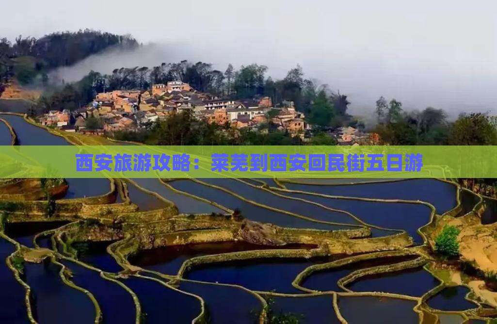 西安旅游攻略：莱芜到西安回民街五日游