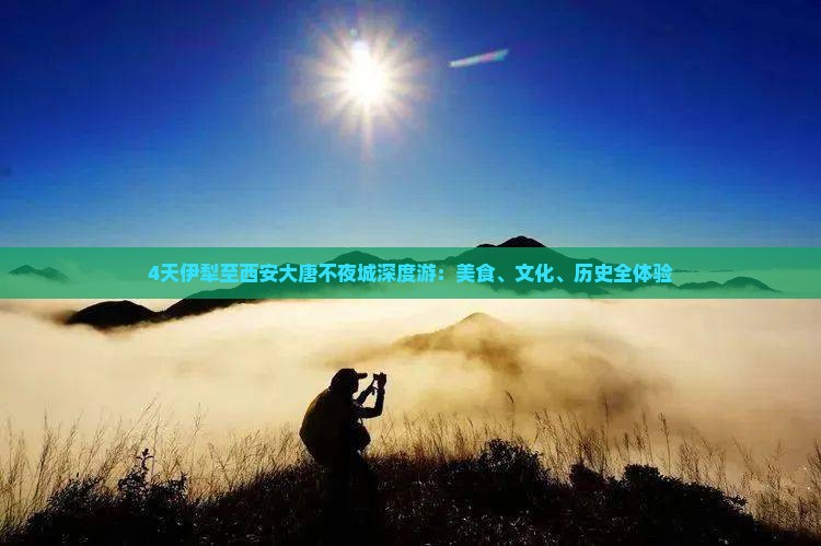 4天伊犁至西安大唐不夜城深度游：美食、文化、历史全体验