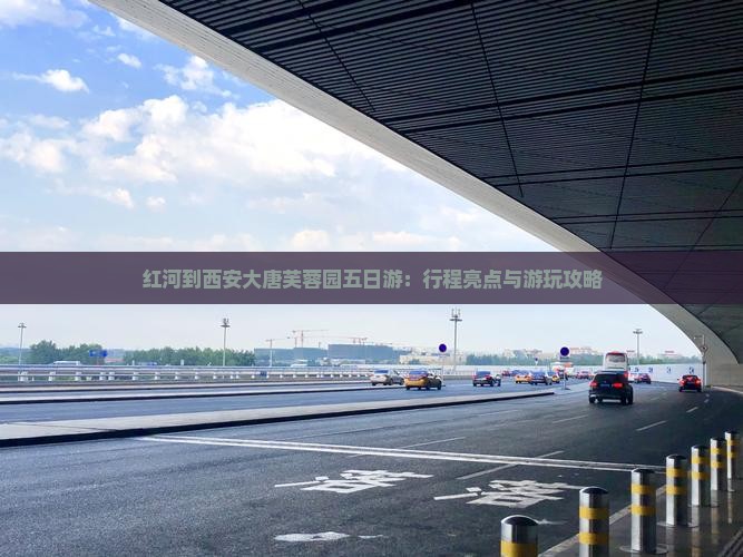 红河到西安大唐芙蓉园五日游：行程亮点与游玩攻略