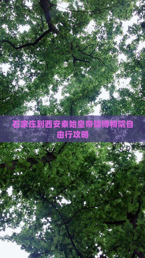 石家庄到西安秦始皇帝陵博物院自由行攻略