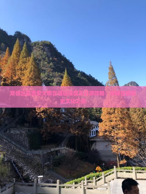 常德出发西安大明宫遗址深度五日游攻略：探秘古都历史文化之旅