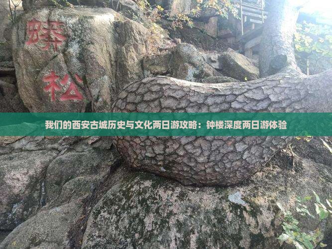 我们的西安古城历史与文化两日游攻略：钟楼深度两日游体验