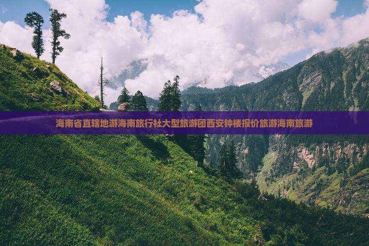海南省直辖地游海南旅行社大型旅游团西安钟楼报价旅游海南旅游