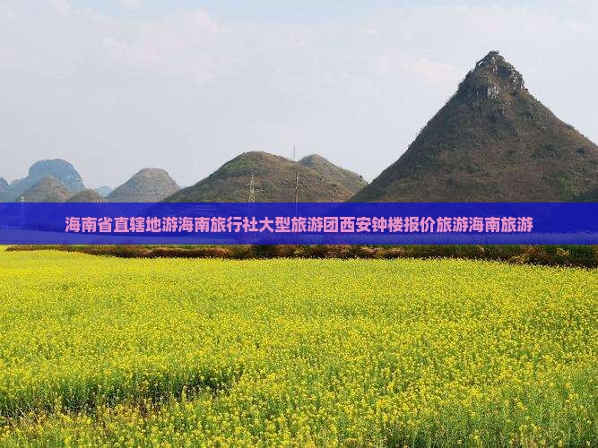 海南省直辖地游海南旅行社大型旅游团西安钟楼报价旅游海南旅游