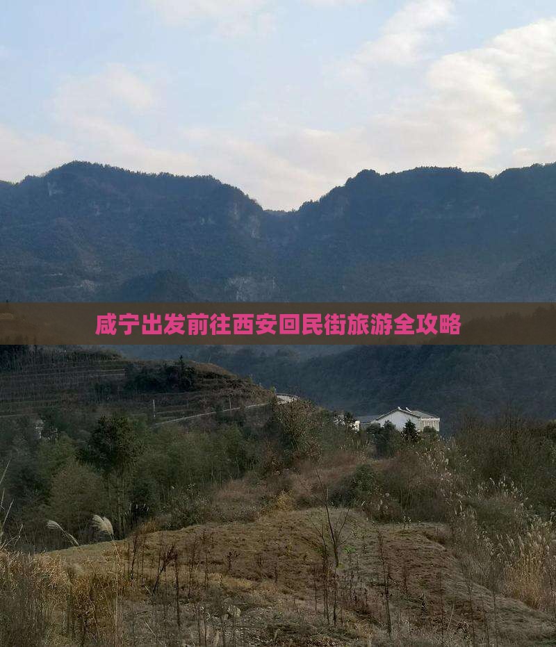 咸宁出发前往西安回民街旅游全攻略