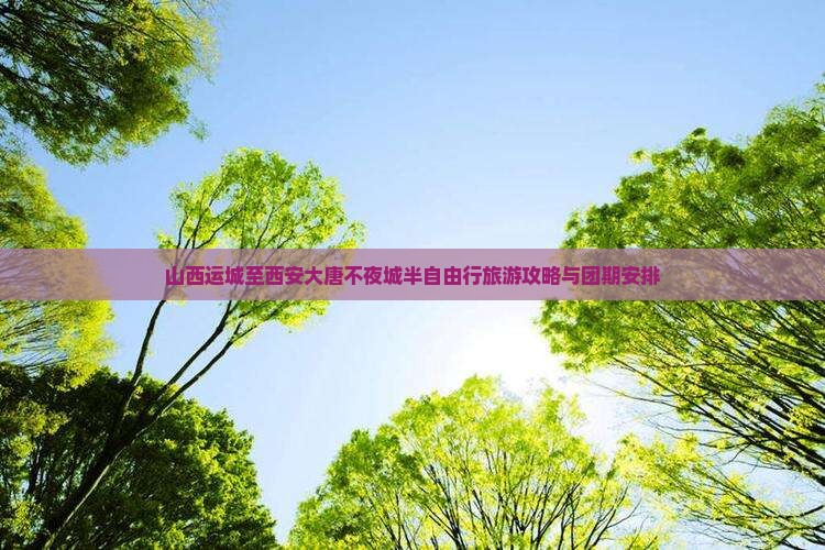 山西运城至西安大唐不夜城半自由行旅游攻略与团期安排