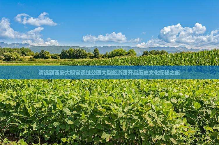 清远到西安大明宫遗址公园大型旅游团开启历史文化探秘之旅