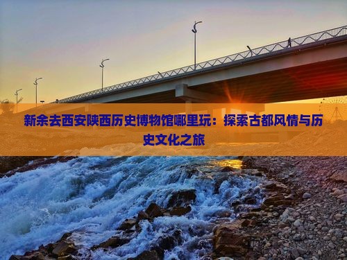 新余去西安陕西历史博物馆哪里玩：探索古都风情与历史文化之旅