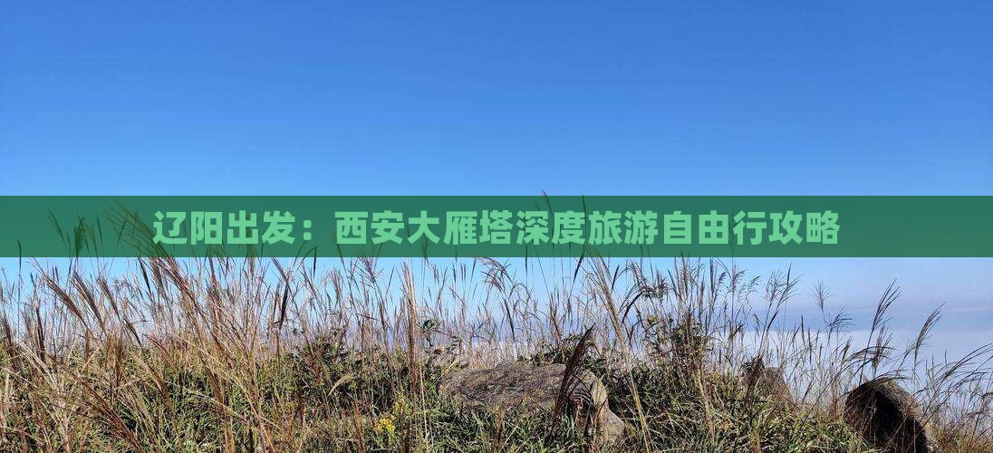 辽阳出发：西安大雁塔深度旅游自由行攻略