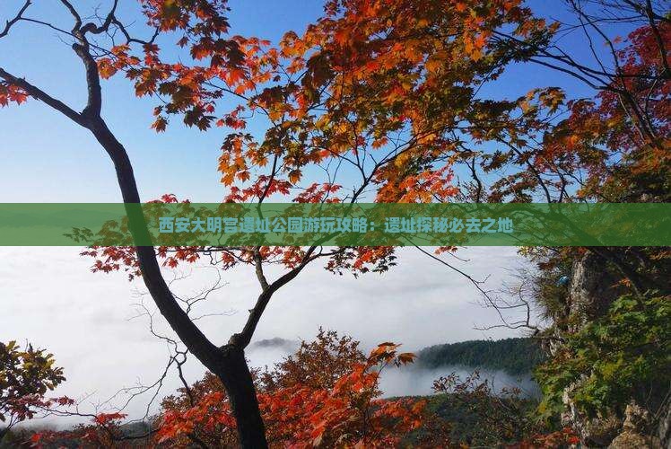 西安大明宫遗址公园游玩攻略：遗址探秘必去之地