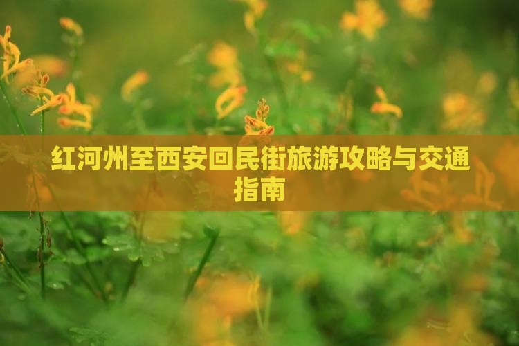 红河州至西安回民街旅游攻略与交通指南