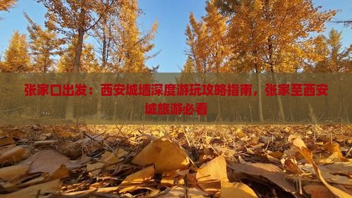 张家口出发：西安城墙深度游玩攻略指南，张家至西安城旅游必看