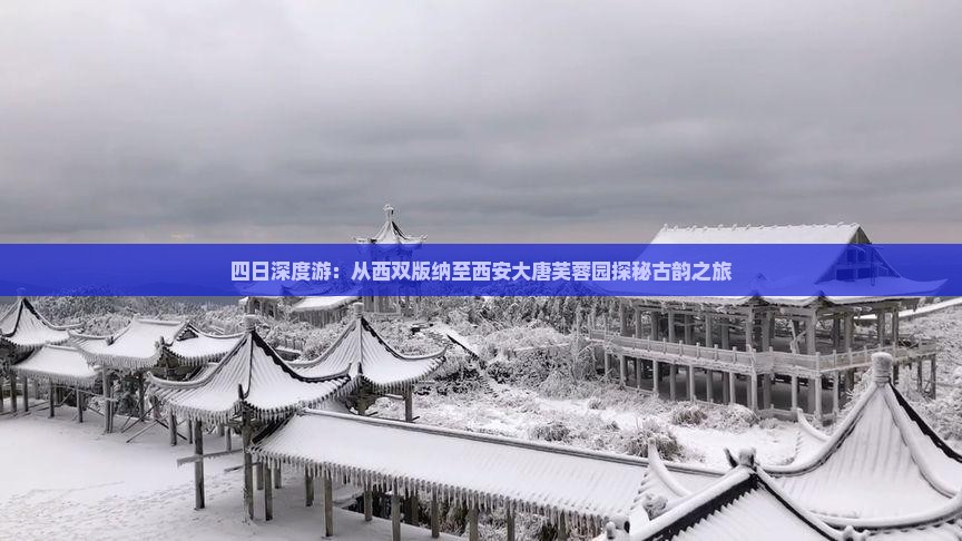 四日深度游：从西双版纳至西安大唐芙蓉园探秘古韵之旅