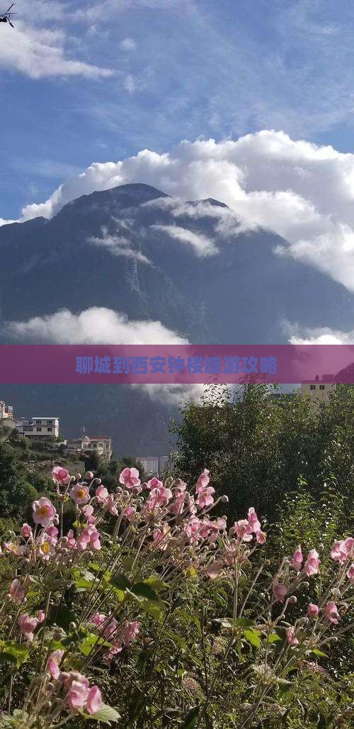 聊城到西安钟楼旅游攻略
