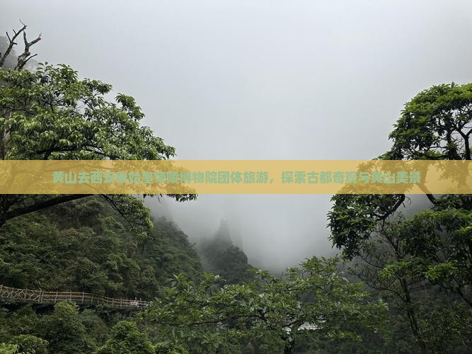 黄山去西安秦始皇帝陵博物院团体旅游，探索古都奇观与黄山美景