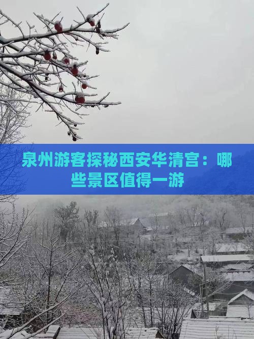 泉州游客探秘西安华清宫：哪些景区值得一游