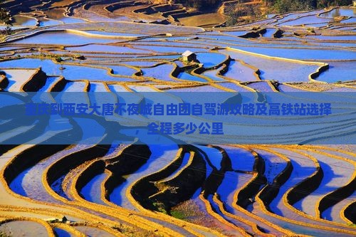 重庆到西安大唐不夜城自由团自驾游攻略及高铁站选择，全程多少公里