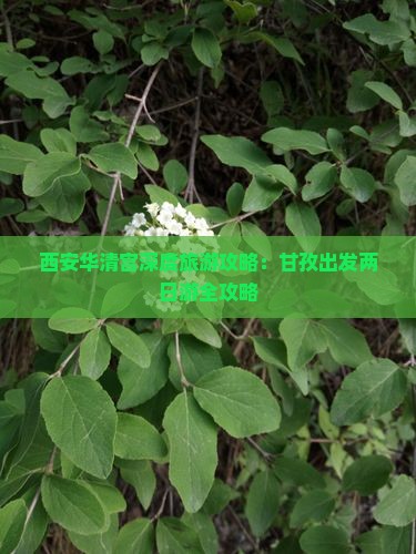 西安华清宫深度旅游攻略：甘孜出发两日游全攻略