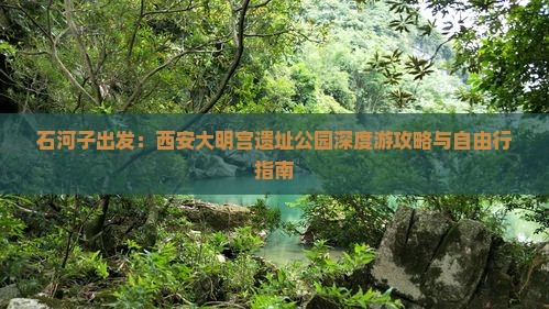 石河子出发：西安大明宫遗址公园深度游攻略与自由行指南