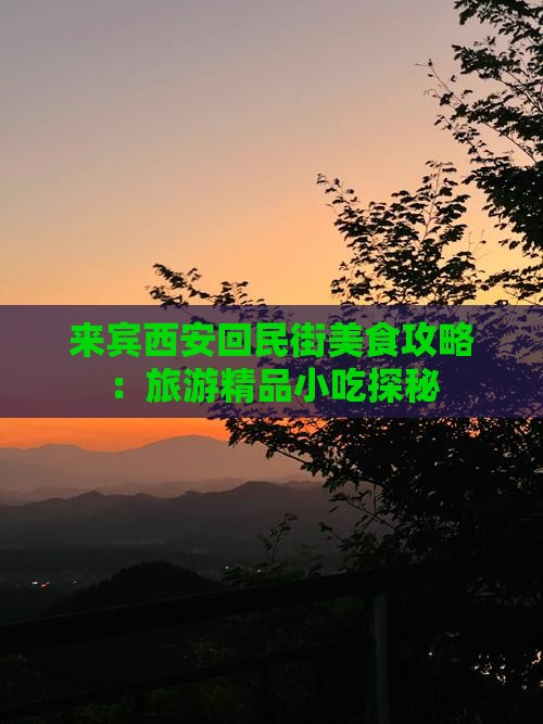 来宾西安回民街美食攻略：旅游精品小吃探秘